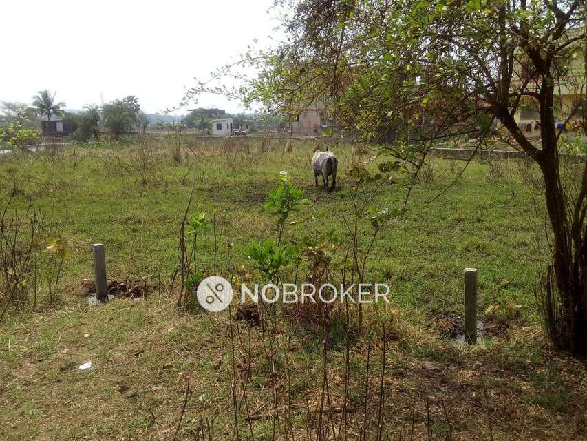 Plot For Sale  In Uttan Bhayandar West