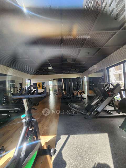 3 BHK Flat In Tayal Corp K Town for Rent In Kiwale