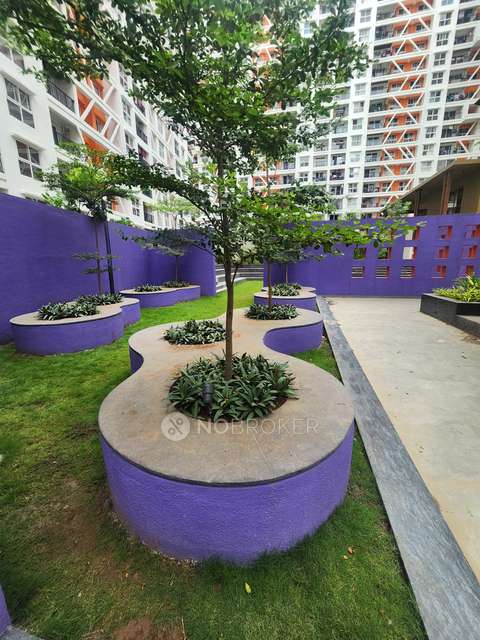 3 BHK Flat In Tayal Corp K Town for Rent In Kiwale