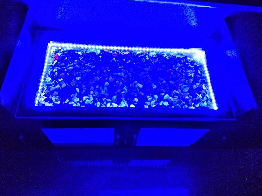 2 BHK Flat In Vsp Deepak Towers, Chandanagar, Miyapur For Sale  In Vsps Deepak Towers