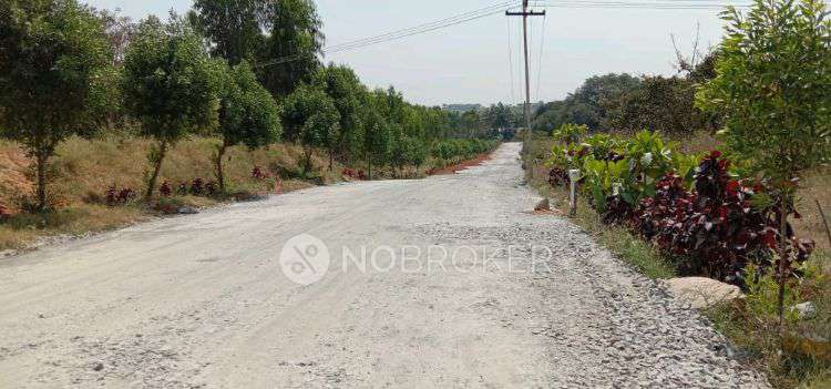 Plot For Sale  In Sandal Nest In Denkanikotta Rd