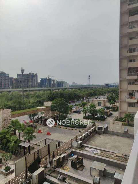 1 BHK Villa In Ajnara Daffodil For Sale  In Sector137