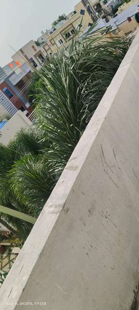 4+ BHK House For Sale  In Beeramguda,110 Square Yards 