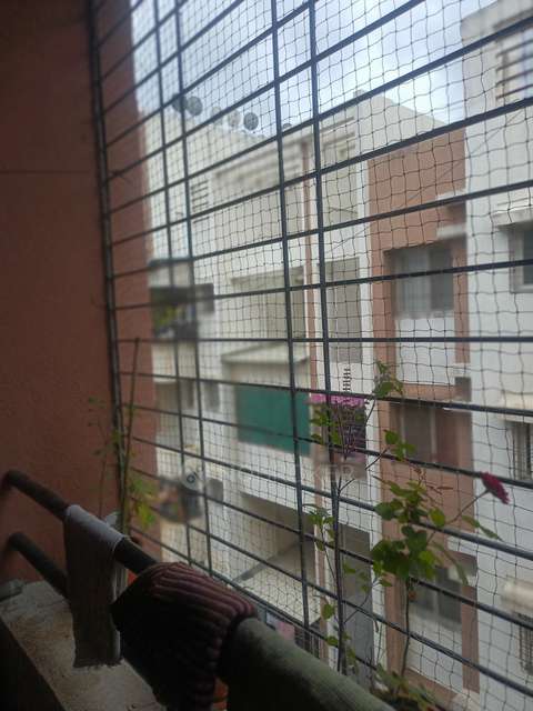 2 BHK Flat In Bhandari Swaraj For Sale  In Moshi