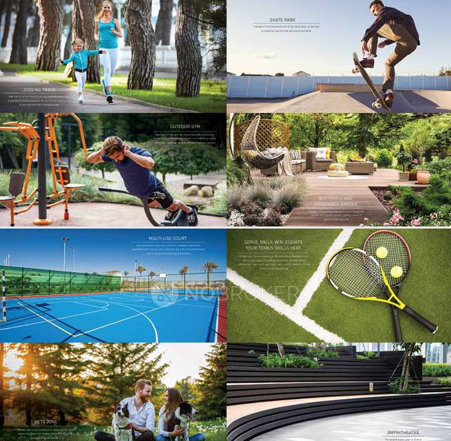 4+ BHK Flat In Signature Global Deluxe Dxp, Sector 37d For Sale  In Sector 37d