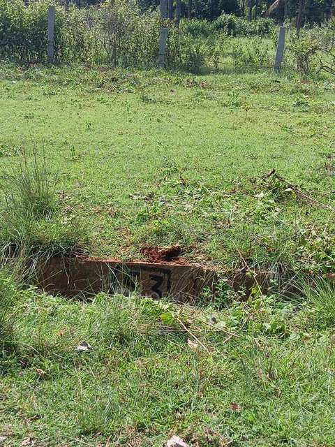 Plot For Sale  In Nelamangala Town