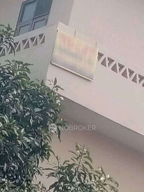 PG for Boys in Sector 21