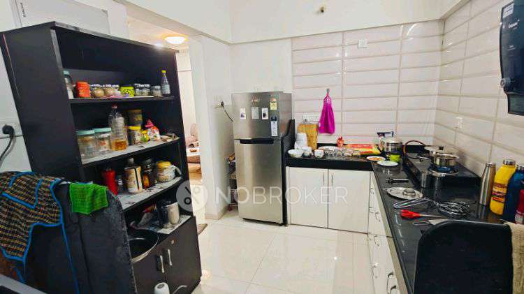 2 BHK Flat In Gk Aarcon for Rent  In Gk Aarcon E Building