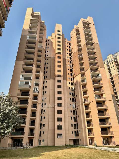 4 BHK Flat In Logix Blossom County For Sale  In Sector 137