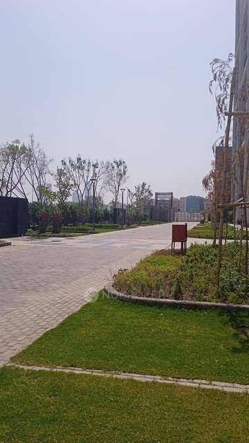 3 BHK Flat In Godrej Woods, Sector 43 For Sale  In Sector 43