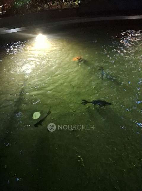 2 BHK Flat In Sobha Dream Gardens For Sale  In 3jxr+gh5 Sobha Dream Gardens &#40;residential Apartments In Thanisandra&#41;, Wing 01, Bengaluru, Bellahalli, Karnataka 560064, India