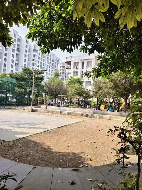 2 BHK Flat In Manjri Greenwoods for Rent  In Hadapsar