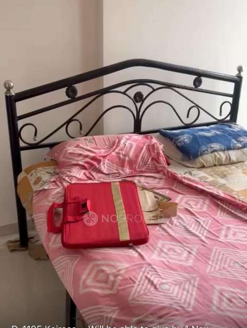 2 BHK Flat In Pharande Kairosa for Rent  In Punawale