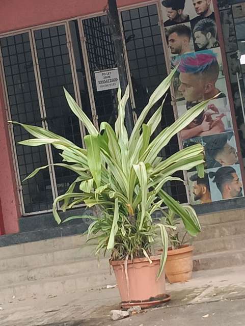 Shop in Varthur, Bangalore for Rent 