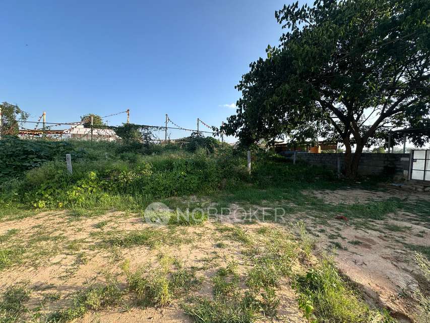 Plot For Sale  In Gulimangala