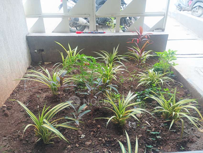 3 BHK Flat In Godrej Hillside 1 For Sale  In Godrej Properties