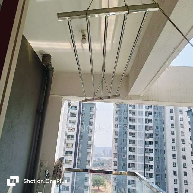 1 BHK Flat In Itrend Homes, Itrend Homes for Rent  In Hinjewadi