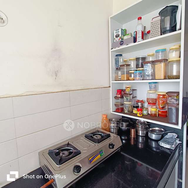 1 BHK Flat In Itrend Homes, Itrend Homes for Rent  In Hinjewadi