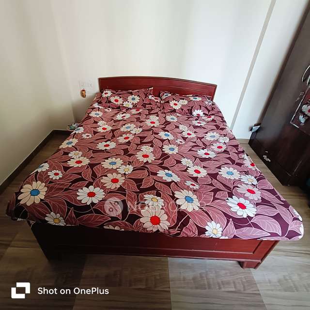 1 BHK Flat In Itrend Homes, Itrend Homes for Rent  In Hinjewadi