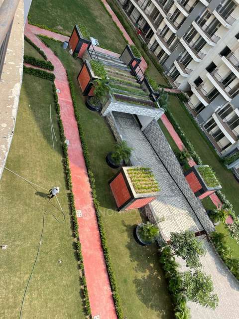 2 BHK Flat In Beetle Lap  For Sale  In Sector 25