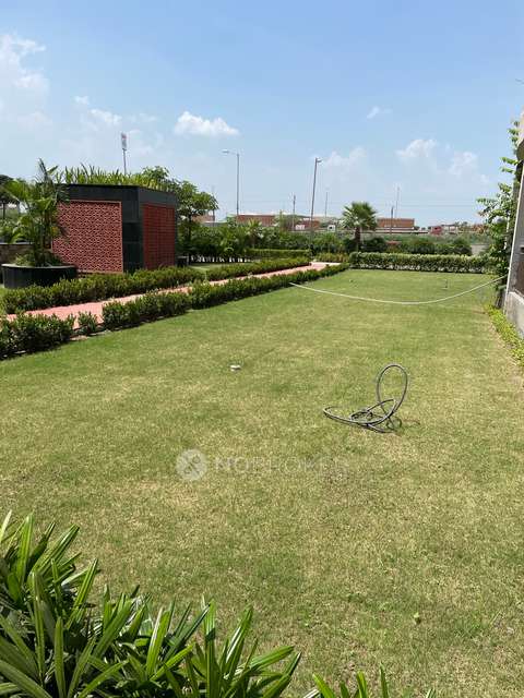 2 BHK Flat In Beetle Lap  For Sale  In Sector 25