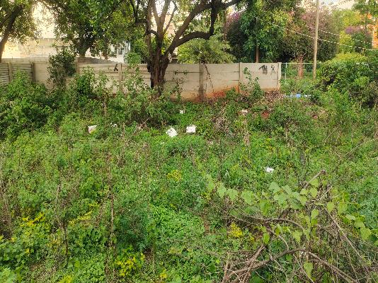 Plot For Sale  In Manyata Residency In Thanisandra