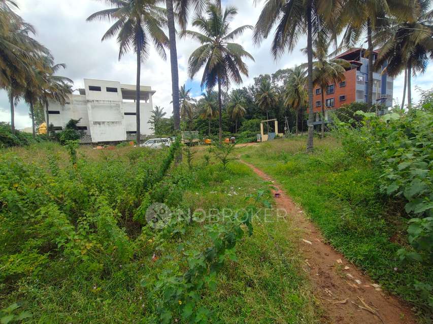 Godown/Warehouse in Sampigehalli, Bangalore for Rent 