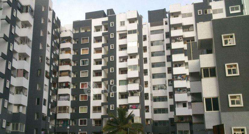 3 BHK Flat In Daadys Elixir For Sale  In Gulimangala
