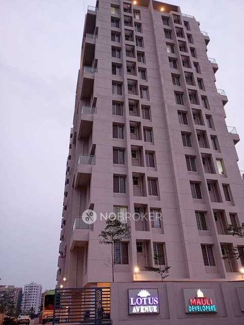 1 BHK Flat In Lotus Avenue, Blossum, Chovisawadi For Sale  In Lotus Avenue
