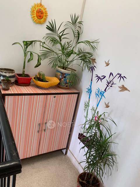 3 BHK In Crest Wood For Sale  In Sector 50