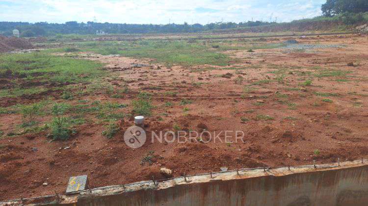 Plot For Sale  In Kns Md Layout  In Arshinakunte