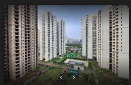 1 BHK Flat In 3c Lotus Zing For Sale  In Sector 168