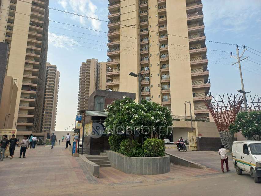 3 BHK Flat In 16th Parkview Independent Floors , Yamuna Expressway For Sale  In Yamuna Expressway