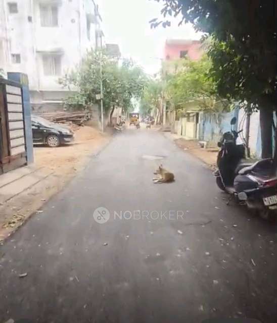 Plot For Sale  In Palavakkam