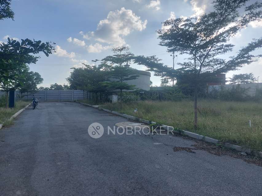 Plot For Sale  In Kns Aroha In Puradapalya Village Tavaerkere