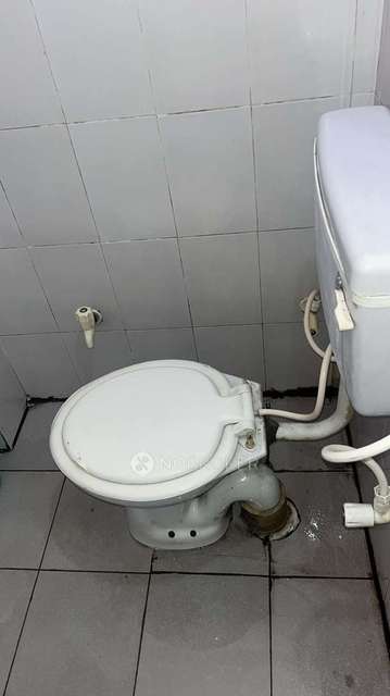 PG for Girls in Sector 11