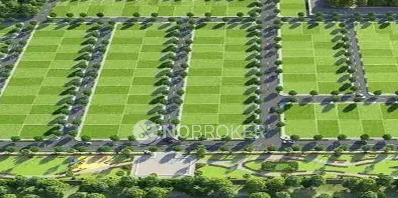 Plot For Sale  In Djp Theodor In Devanahalli