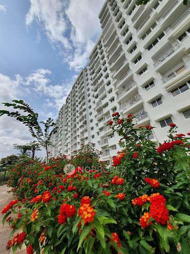 2 BHK Flat In Godrej Avenues For Sale  In Yelahanka