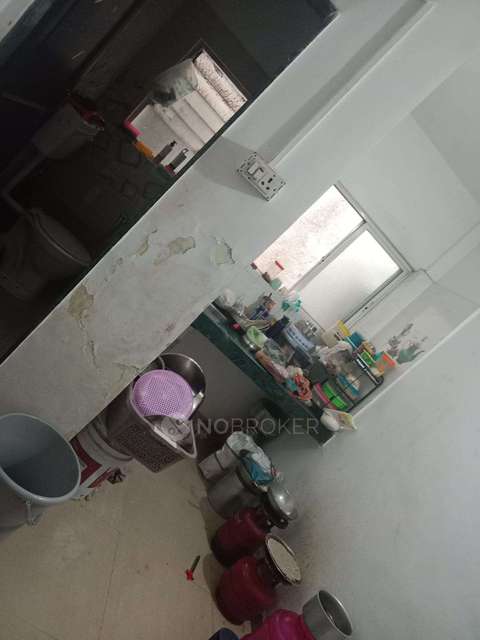 Shared Room for Female In 1 RK  In Karvenagar