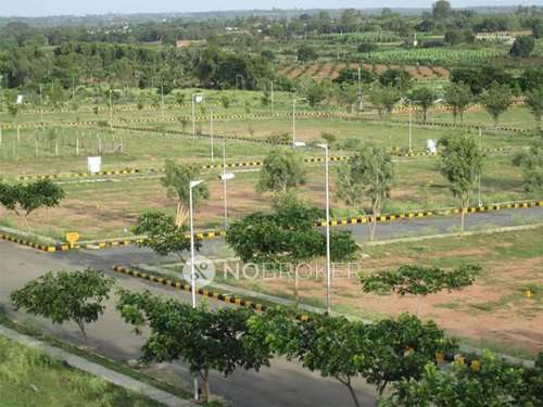 Plot For Sale  In Yamuna Express Way Industrial Development Authority Greater Noida
