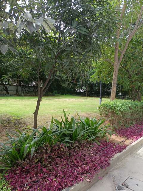 2 BHK Flat In Habitat Iluminar For Sale  In Mailasandra