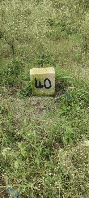 Plot For Sale  In Rajgopal Layout Layout In Rajarajeshwari Nagar