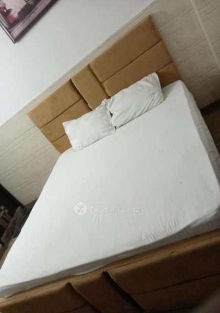 PG for Anyone in Sector 27