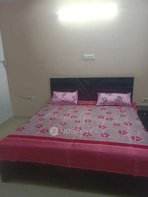 PG for Boys in  Sector 34