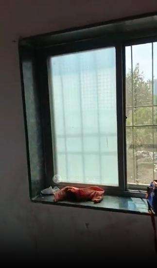 1 BHK Flat In Aaditya Heights for Rent  In Hqm3+xq4, Hirai Sitai Rd, Hinjawadi, Pimpri-chinchwad, Maharashtra 411057, India