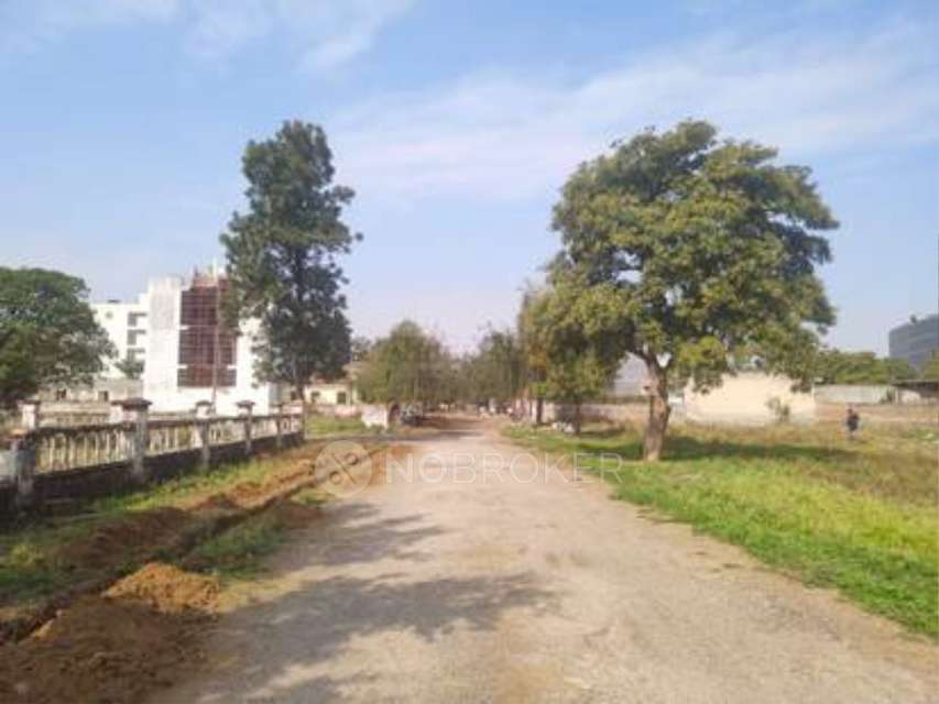 Plot For Sale  In Yamuna Express Way