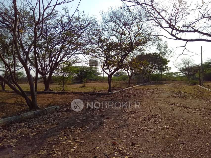 Plot For Sale  In Shamshabad