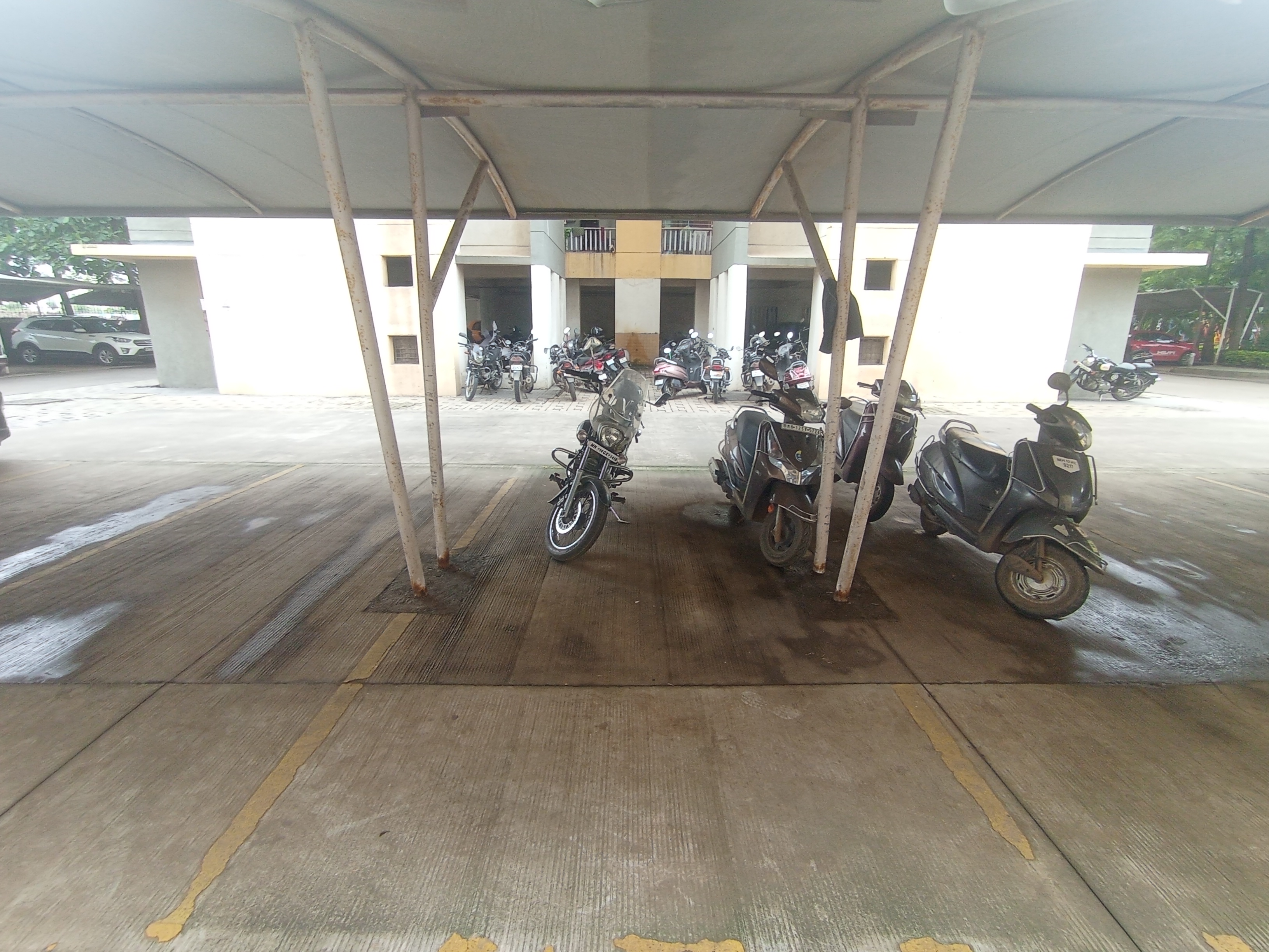 Pride Purple Park Springs