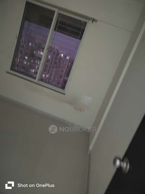 1 BHK Flat In Trimurti 11 Park Street A Wing for Rent  In Pisoli