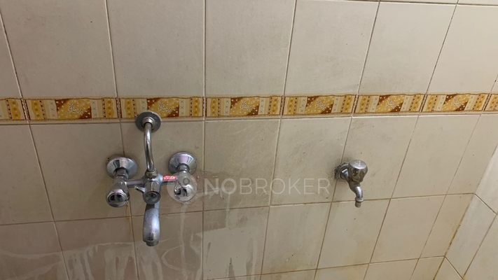 2 BHK Flat In Star Gaze Co Op Housing Society for Rent  In Dhanori